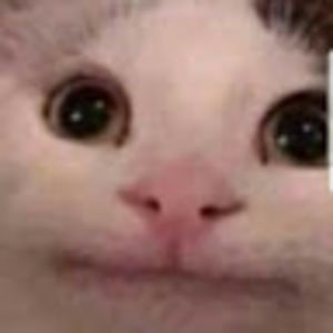 Meet your Posher, Rex